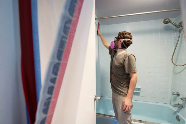  West Falmouth, MA Mold Removal Pros