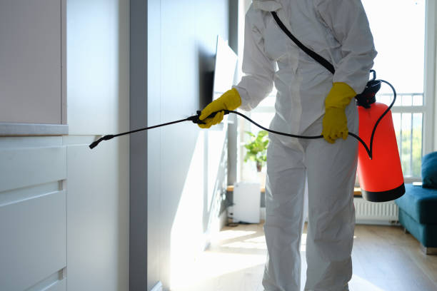Best Mold Removal for HVAC Installations  in West Falmouth, MA