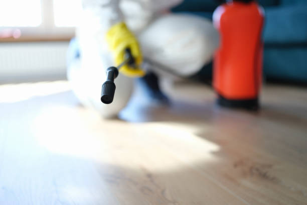 Best Residential Mold Inspection & Testing  in West Falmouth, MA