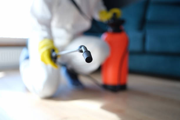 Best Mold Prevention Services  in West Falmouth, MA