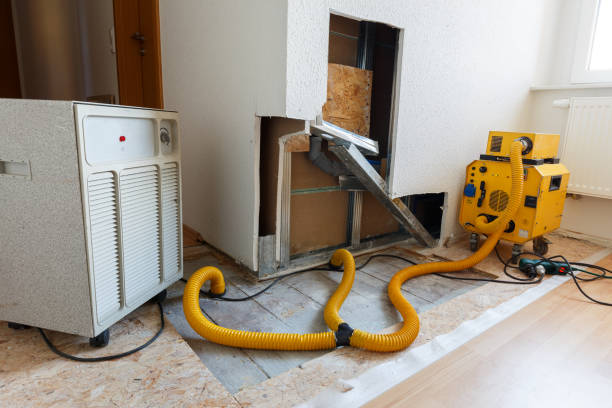 Best Crawl Space Mold Remediation  in West Falmouth, MA